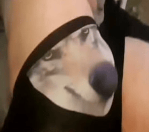 Wolf Wif Ballz
