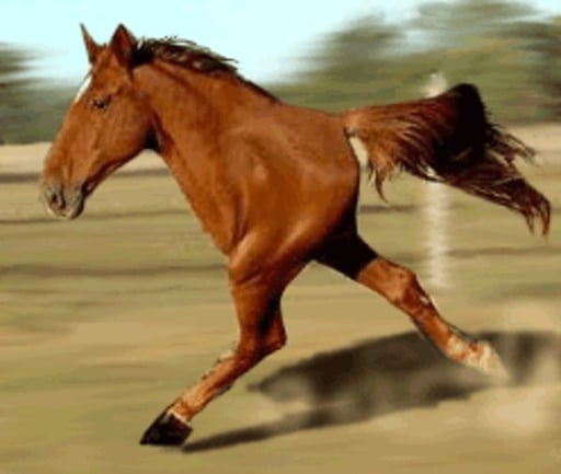 Two Legged Horse
