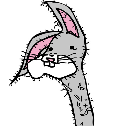 bogs binny