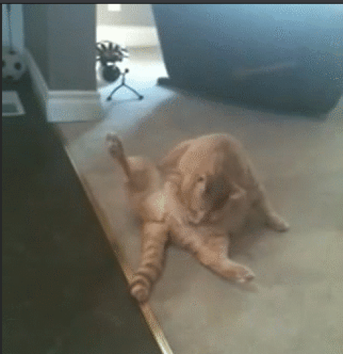 fapcat