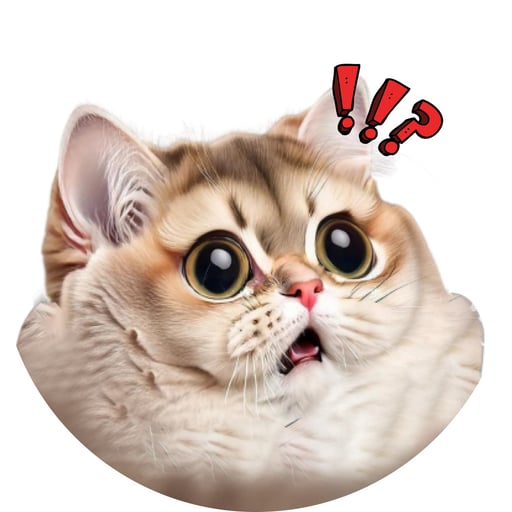 Catscoin