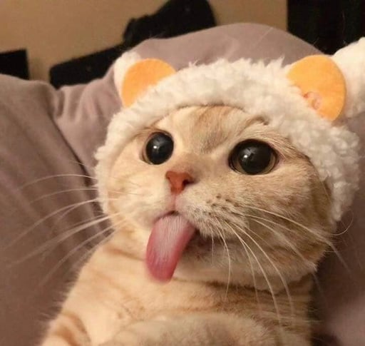 Tongue Cat