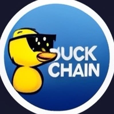 Duck Chain