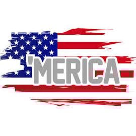 Merica Party