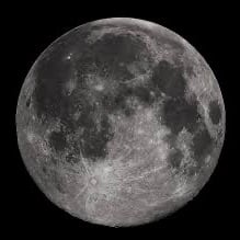 Mooncat