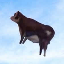 moooooner