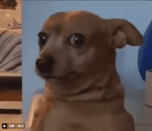 Tron Dog