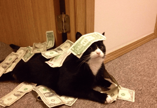 Money Over Bitches