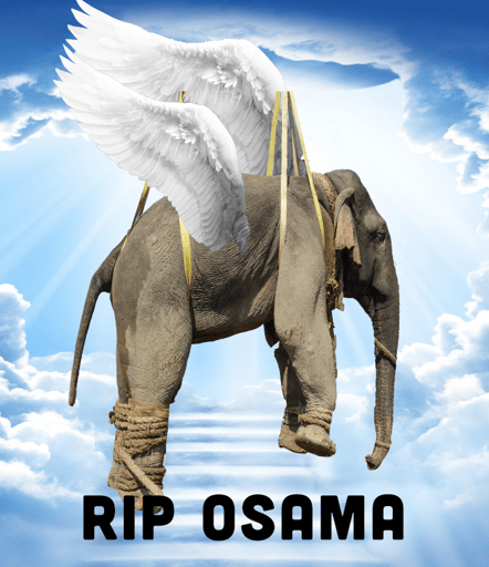 Osama 
