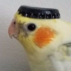 nico