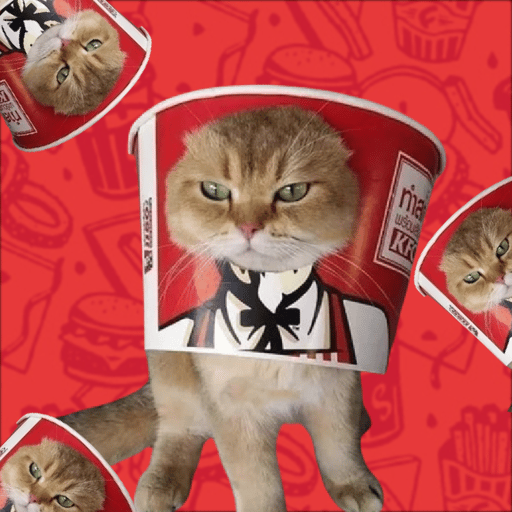 KENTUCKY FRIED CAT 