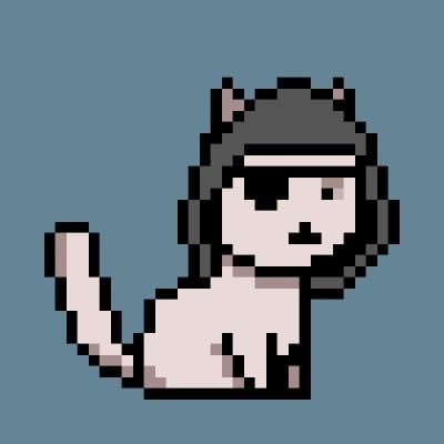 Crypto Punk Cat