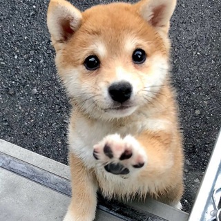 high five