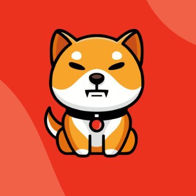 Baby Shiba Inu on SOL
