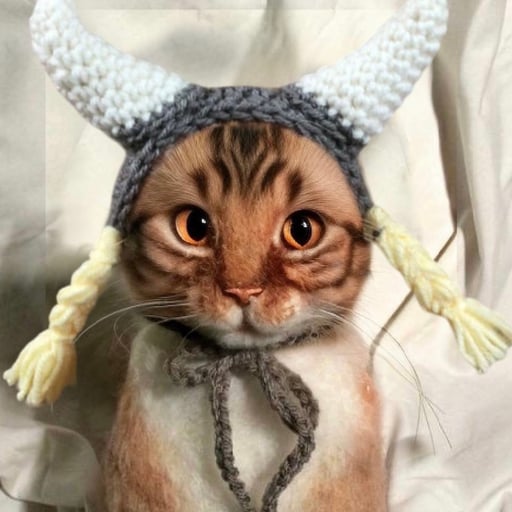 Floki Cat 
