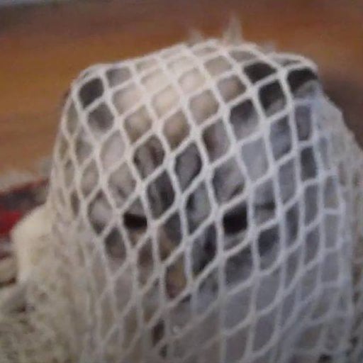 Snurfle's the WCAT