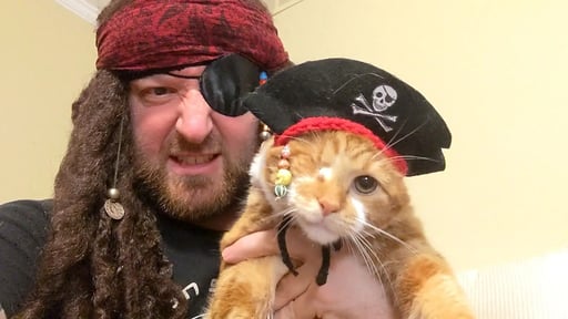 PIRATE CAT