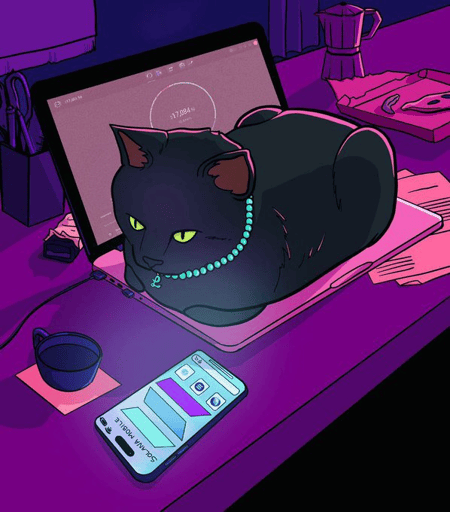 Lola The Cat