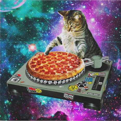 Space DJ Pizza Cat