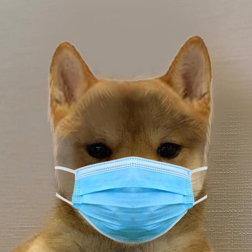DOGWIFMASK