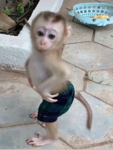 Feeling cute