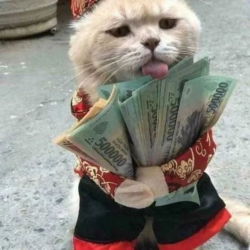 Dollar Cost Average