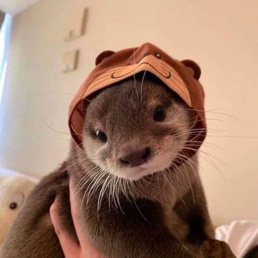 カワウソ