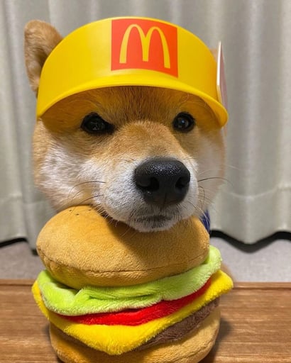 MCDOGE