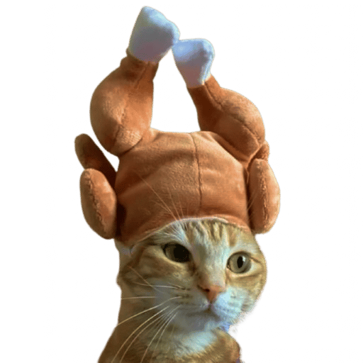 PUSS IN CHICK