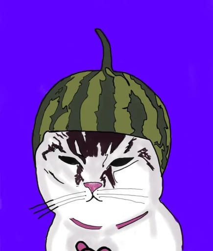 Melon Cat