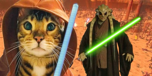 Obi Wan Catnobi