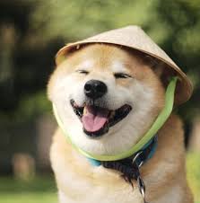 Maru Taro