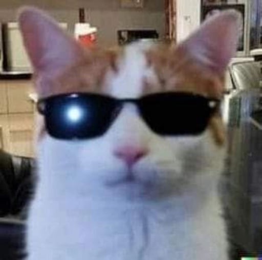 Swag Cat
