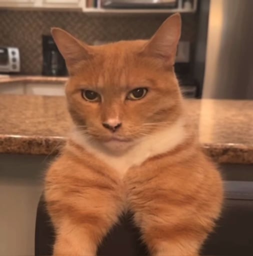 Mewing