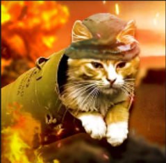 Bazooka Cat