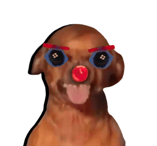 DOGTARDIO