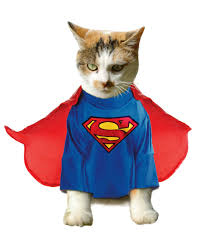 SUPERCAT