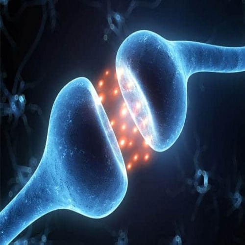 Need Dopamine
