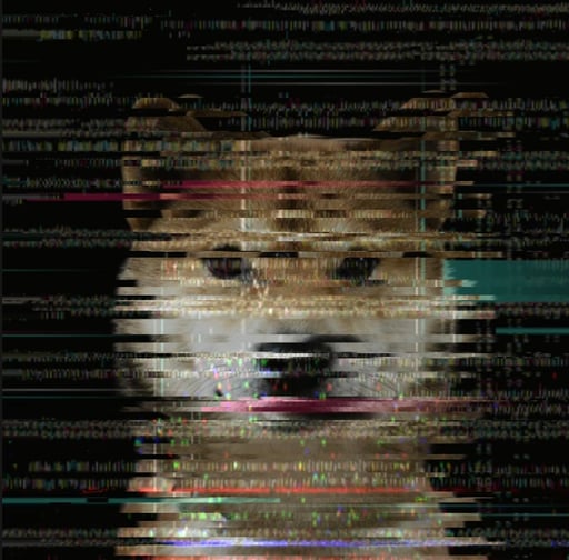glitched dog