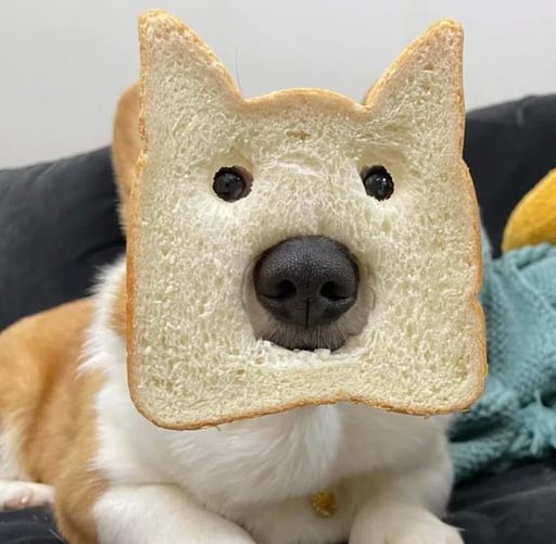 Toasty