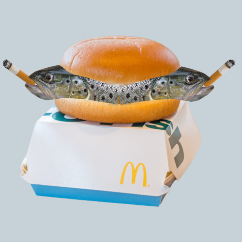 Smoking Filet-O-Fish