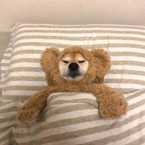 pup