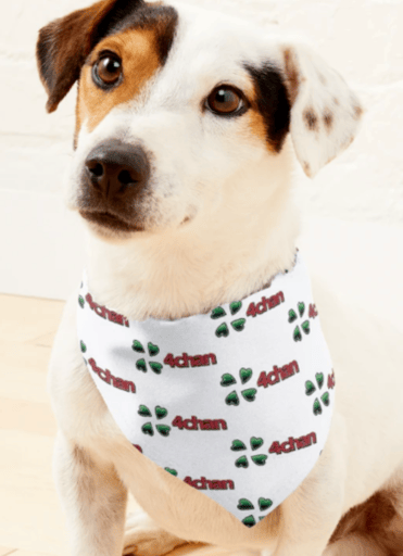 4chan Dog