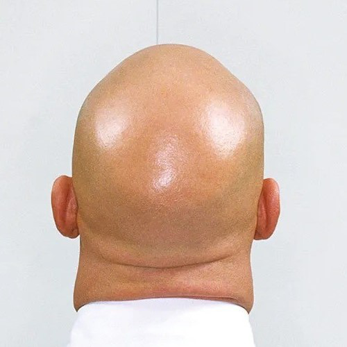 shiny bald head