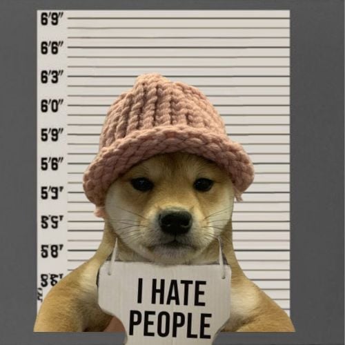 Jail Dog