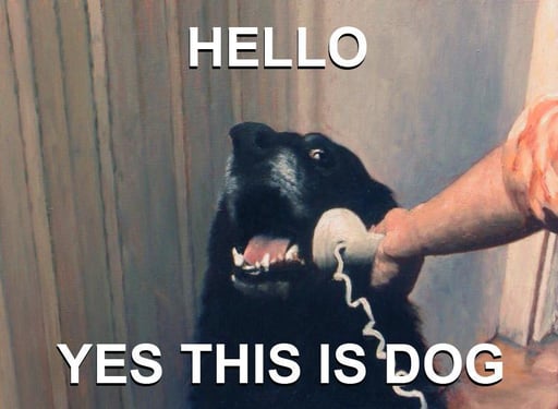 HelloYesThisIsDog