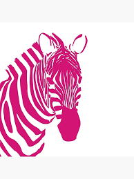 ZEBBI