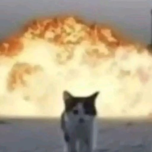 evil kitty