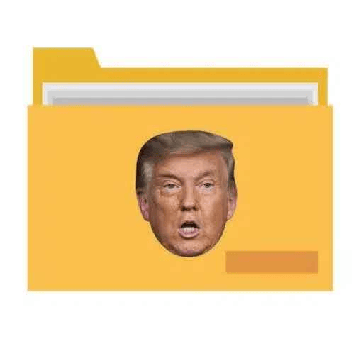 Trumpstein Files