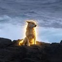 마라도의 파수꾼